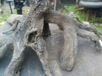 Lawn Express - Photo 9 - Car repair in , Stockton