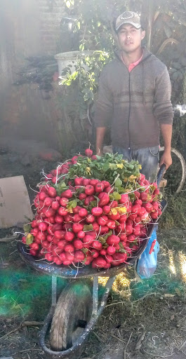 Productos Del Campo San Francisco.