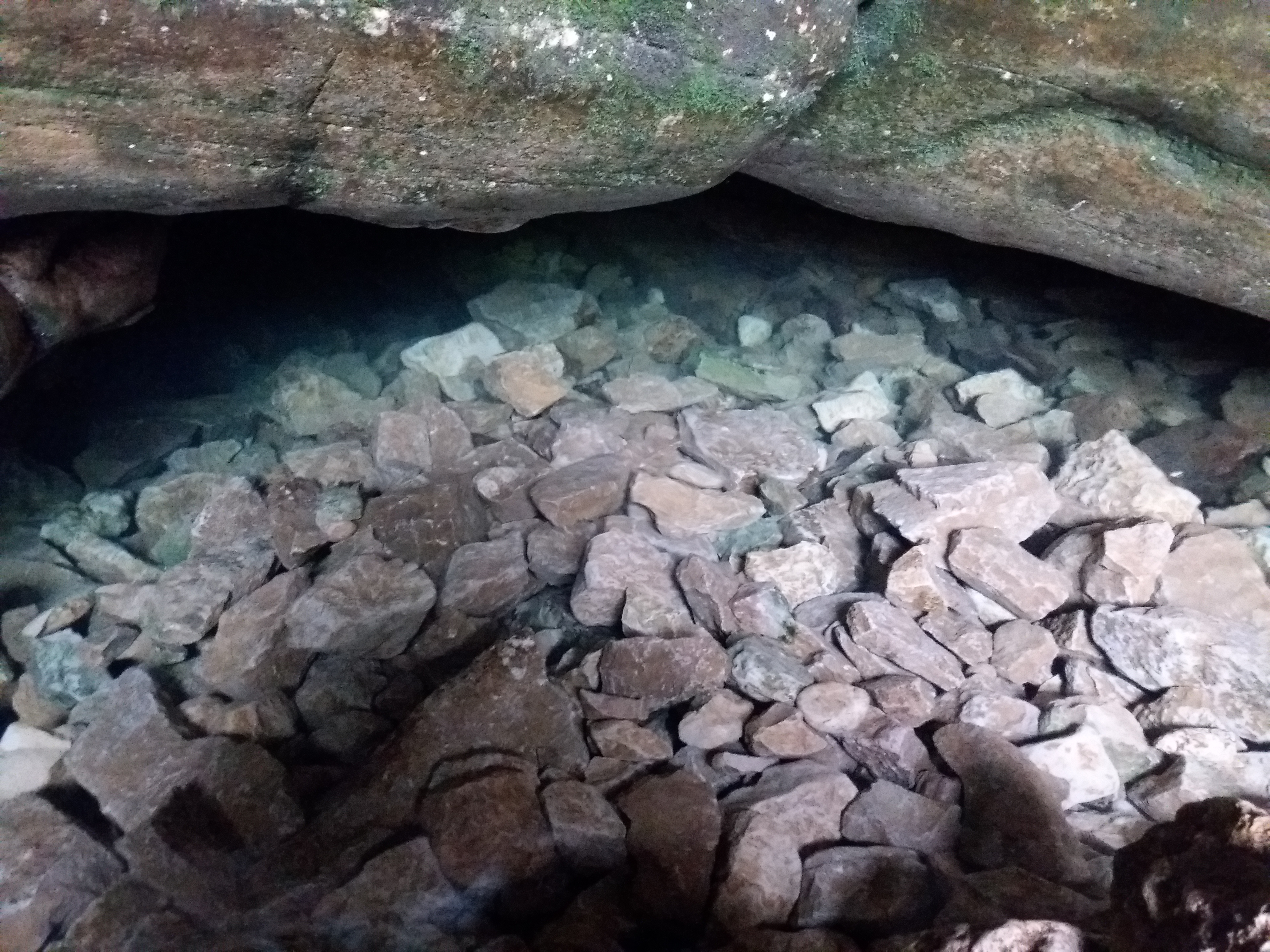 Photo n° 5 de l'avis de Patrice.E fait le 20/08/2019 à 21:08