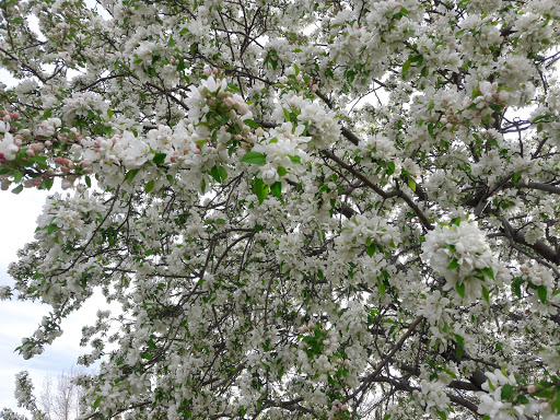 Golf Course «Harvard Gulch Golf Course», reviews and photos, 660 E Iliff Ave, Denver, CO 80210, USA