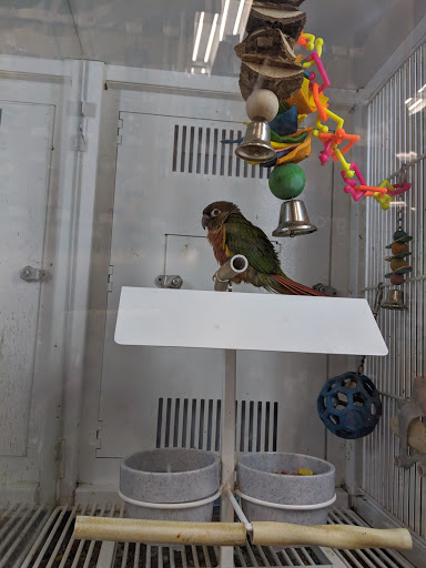 Pet Supply Store «Petco Animal Supplies», reviews and photos, 1215-1309 NJ-33 #1, Hamilton Township, NJ 08690, USA