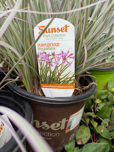 Home Improvement Store «The Home Depot», reviews and photos, 1617 N Carpenter Rd, Modesto, CA 95351, USA