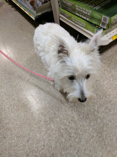 Pet Supply Store «PetSmart», reviews and photos, 351 N Frontage Rd, New London, CT 06320, USA