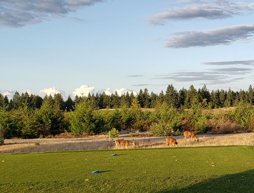 Golf Course «The Home Course», reviews and photos, Golf House Rd, DuPont, WA 98327, USA