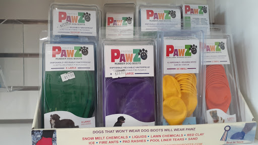 Pet Store «South Beach Pet Shop», reviews and photos, 634 6th St, Miami Beach, FL 33139, USA