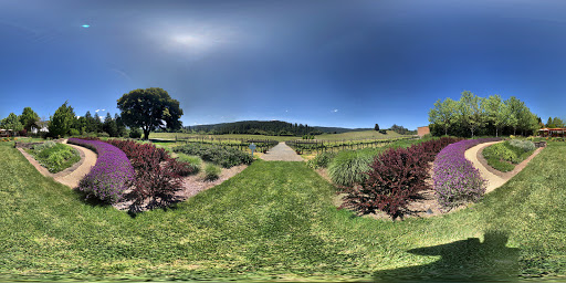 Winery «Goldeneye Winery», reviews and photos, 9200 CA-128, Philo, CA 95466, USA