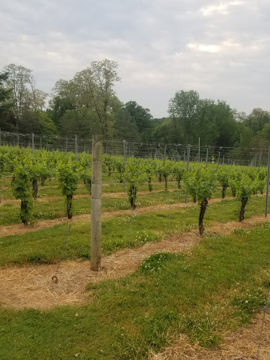 Winery «Galer Estate Vineyard and Winery», reviews and photos, 700 Folly Hill Rd, Kennett Square, PA 19348, USA