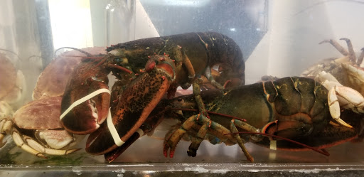 Seafood Market «Metropolitan Seafood & Gourmet», reviews and photos, 1320 US-22, Lebanon, NJ 08833, USA