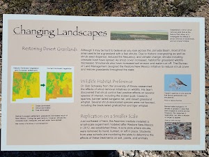 Chihuahuan Desert Nature Park - photo 41
