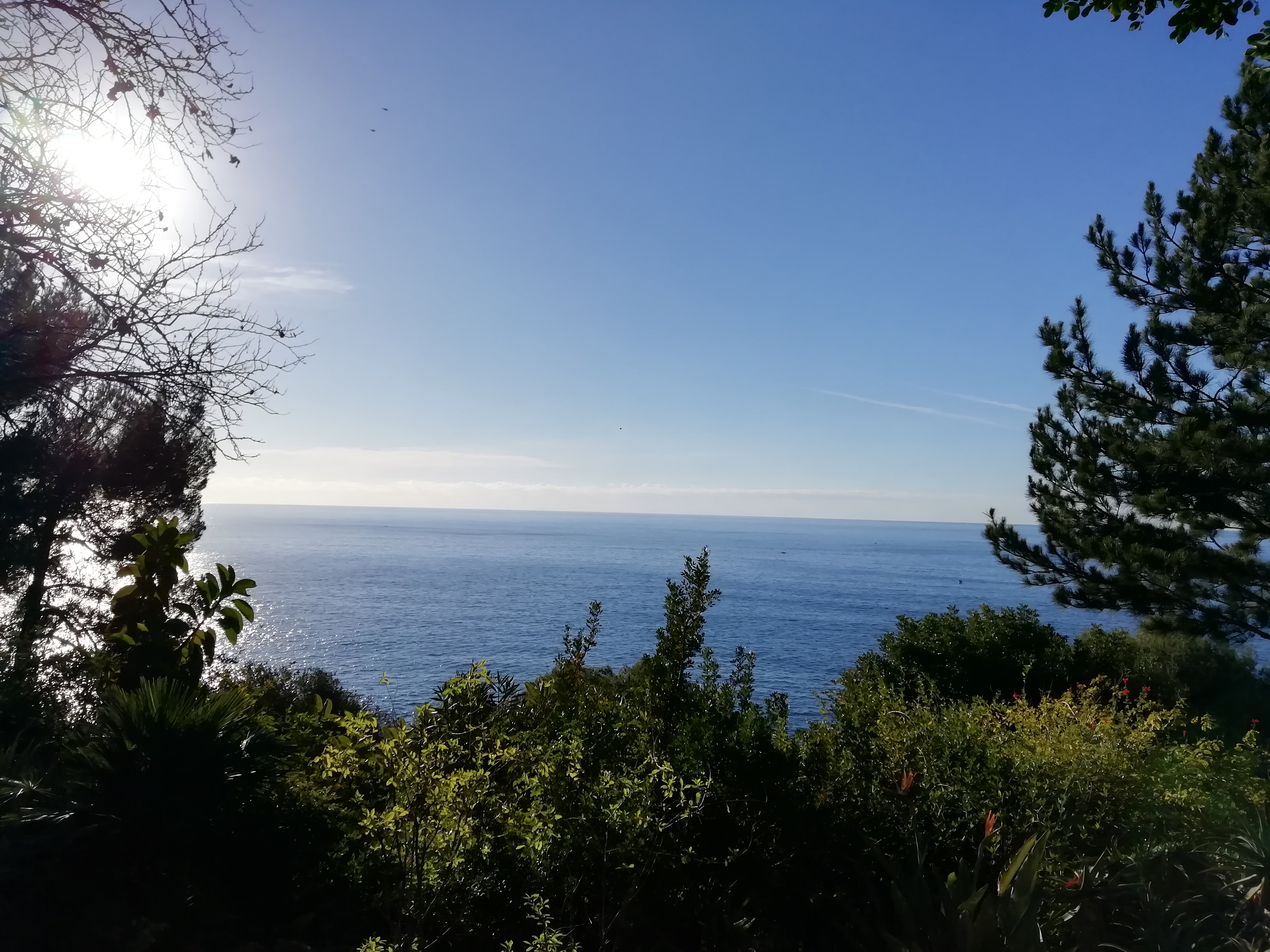 Photo n° 3 de l'avis de Gilles.h fait le 18/01/2021 à 16:19