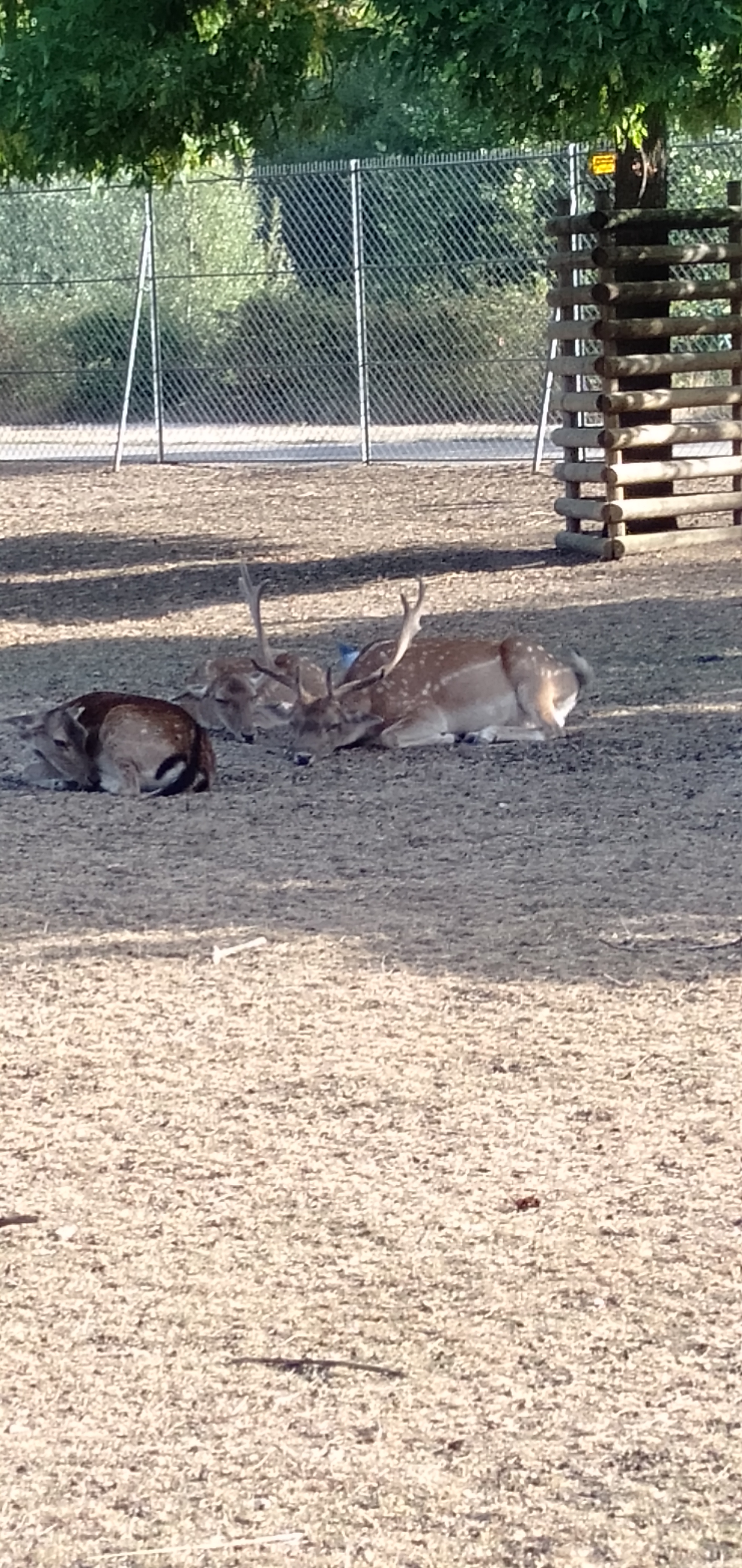 Photo n° 13 de l'avis de M-E. fait le 17/08/2020 à 16:55