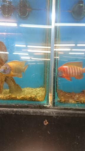 Pet Store «Pets Plus - Quakertown», reviews and photos, 117 S West End Blvd, Quakertown, PA 18951, USA