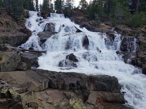 National Forest «Eldorado National Forest», reviews and photos, 100 Forni Rd, Placerville, CA 95667, USA