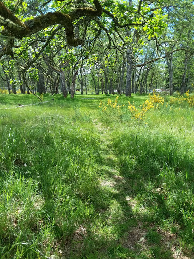 Golf Course «Fort Steilacoom Golf Course», reviews and photos, 8202 87th Ave SW, Lakewood, WA 98499, USA