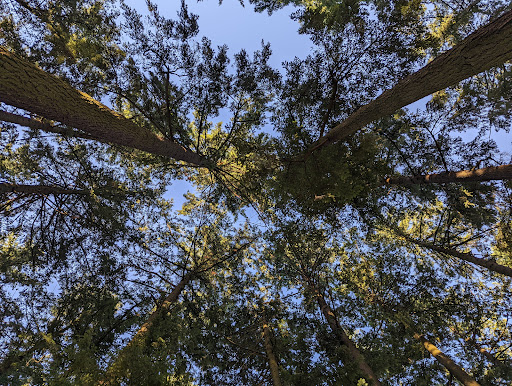 Park «Mt. Scott Park», reviews and photos, SE 72nd Ave & Southeast Harold Street, Portland, OR 97206, USA