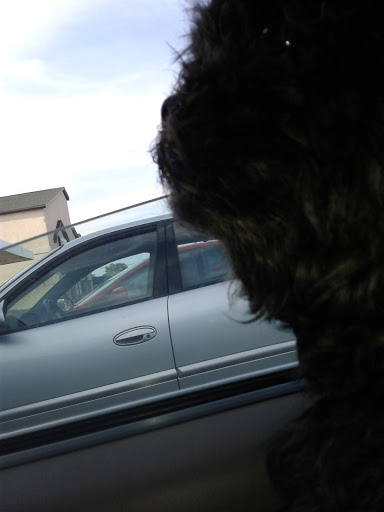 Auto Parts Store «NAPA Auto Parts - Fln Auto Parts», reviews and photos, 656 Lake St S, Forest Lake, MN 55025, USA