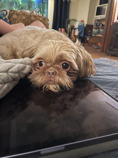 Barkport Grooming