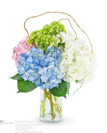 Florist «Flower Forrest», reviews and photos, 7101 San Pedro Ave, San Antonio, TX 78216, USA