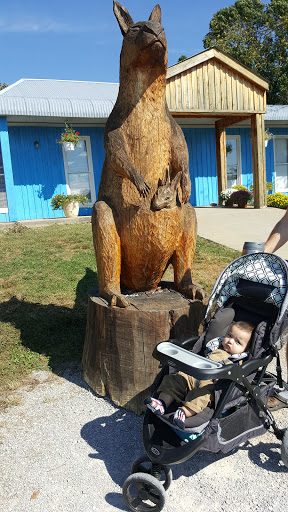 Zoo «Kentucky Down Under Adventure Zoo», reviews and photos, 3700 L and N Turnpike Rd, Horse Cave, KY 42749, USA