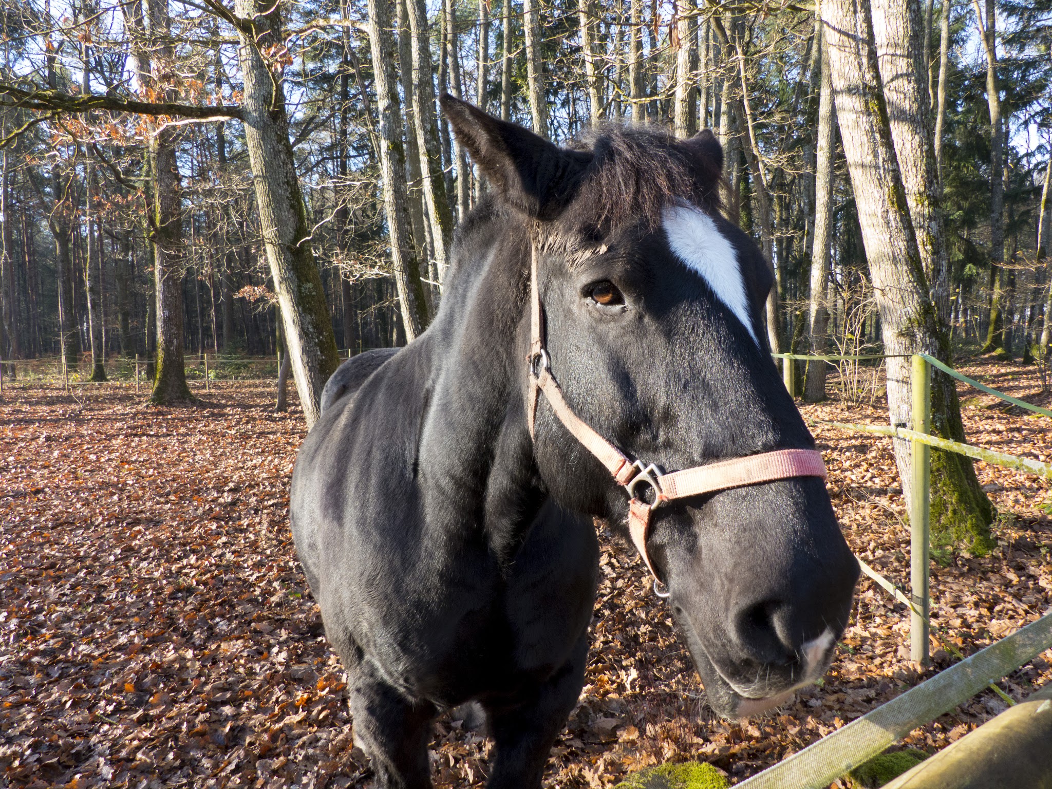 Photo n° 5 de l'avis de François.o fait le 14/12/2016 à 11:11