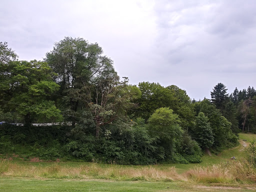 Water Park «Rotary Centennial Water Playground», reviews and photos, 802 E Mukilteo Blvd, Everett, WA 98203, USA