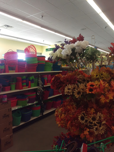 Dollar Store «Dollar Tree», reviews and photos, 4913 Cleveland Blvd a, Caldwell, ID 83605, USA