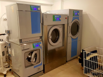 CLEANLUX ORGANİK KURU TEMİZLEME