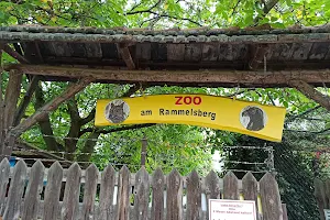 Zoo am Rammelsberg image