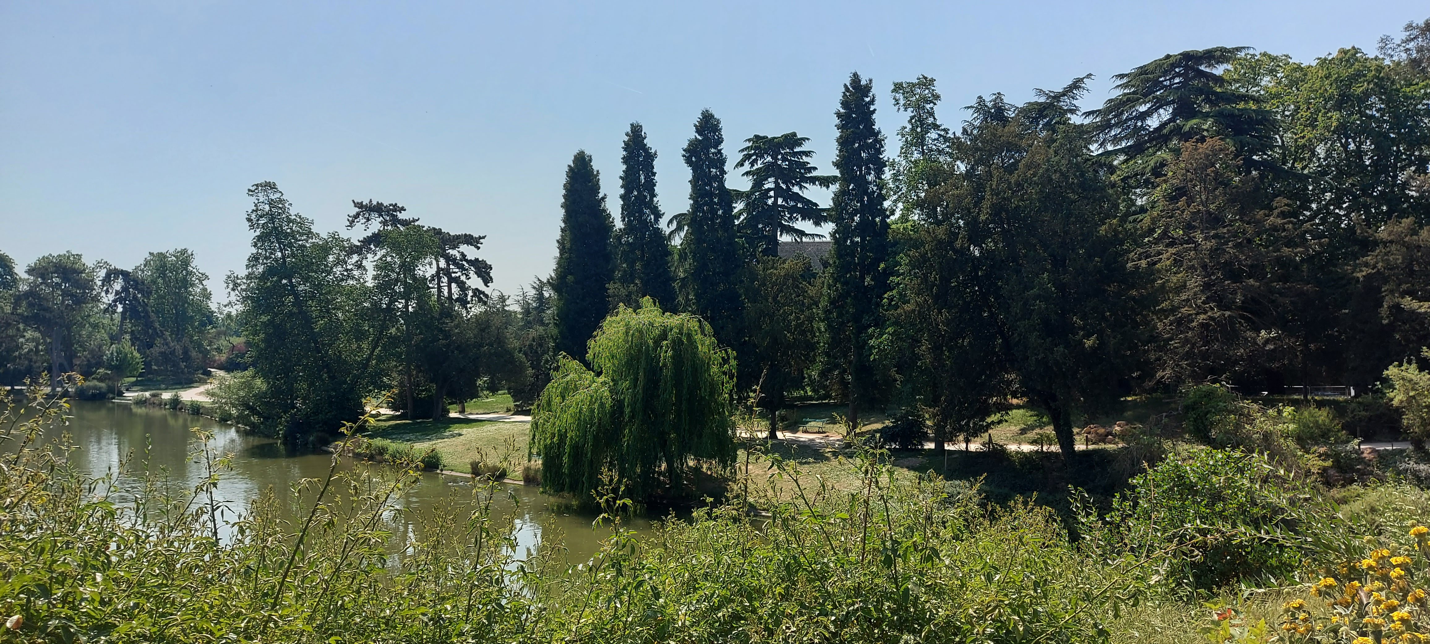 Photo n° 9 de l'avis de gwadilina.l fait le 12/05/2022 à 00:30