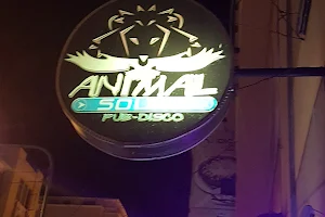 ANIMAL SOUND pub discoteca image