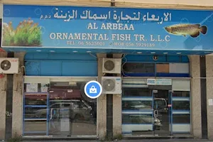 Al Arbeaa Ornamental Fish TR.LLC image