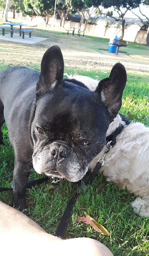 Pet Supply Store «Petco Animal Supplies», reviews and photos, 26501 Bouquet Canyon Rd, Saugus, CA 91350, USA