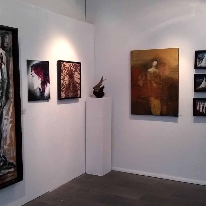 Corvidae Gallery