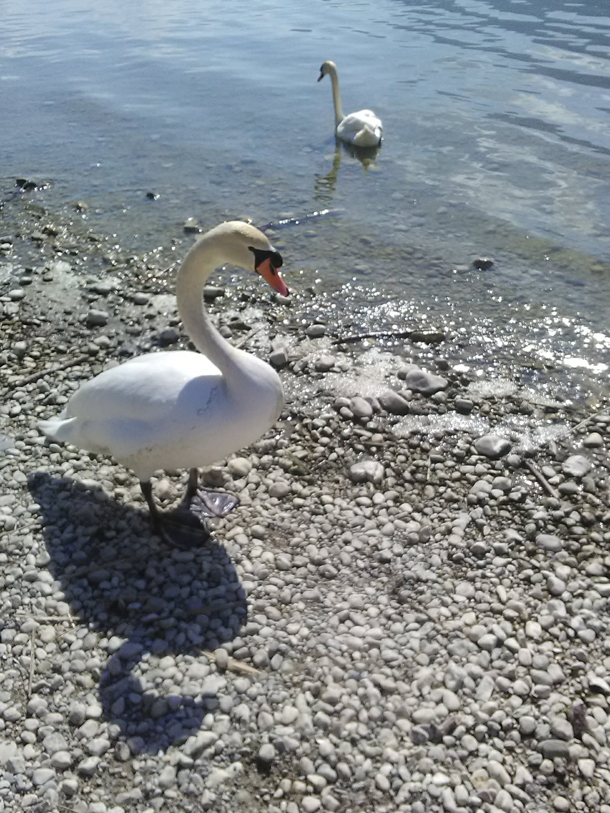 Photo n° 1 de l'avis de RYRY.Y fait le 20/04/2018 à 14:57