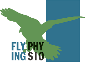 Flying Physio Giovanoli Physiotherapie