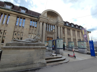 Universität Zürich Paläontologisches Institut und Museum