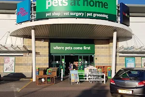 Pets at Home Stechford image