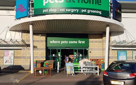 Pets at Home Stechford image