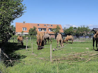 Boerderij "De Boterbloem" V.O.F.