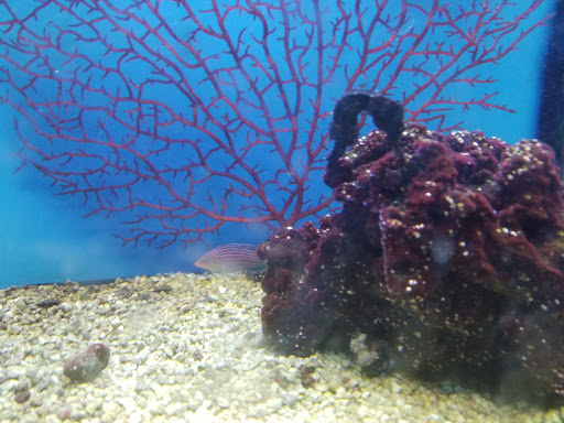 Pet Supply Store «Petco Animal Supplies», reviews and photos, 3380 124th Ave NW, Coon Rapids, MN 55433, USA