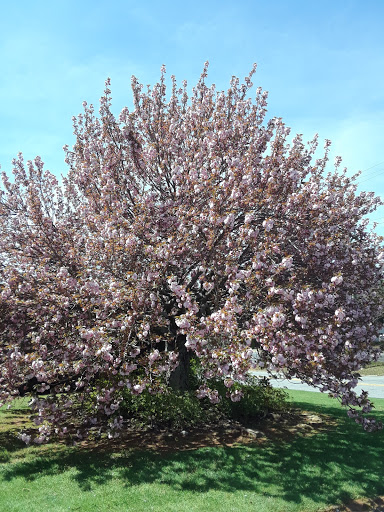 Army & Navy Surplus Shop «Army-Navy Discount Center», reviews and photos, 1214 Hayes Industrial Dr, Marietta, GA 30062, USA