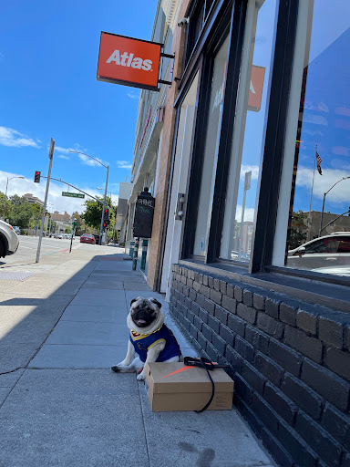 Skateboard Shop «Atlas Skateboard Store», reviews and photos, 209 2nd Ave, San Mateo, CA 94401, USA