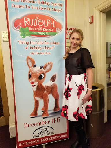 Performing Arts Theater «Boch Center - Shubert Theatre», reviews and photos, 265 Tremont St, Boston, MA 02116, USA