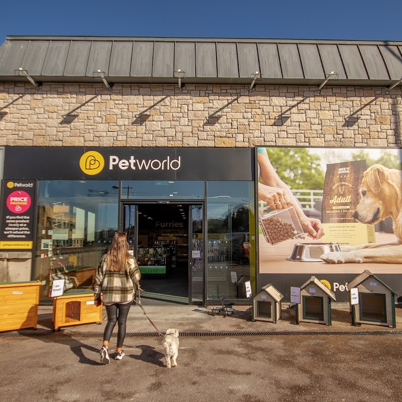 Petworld Cork Blackpool