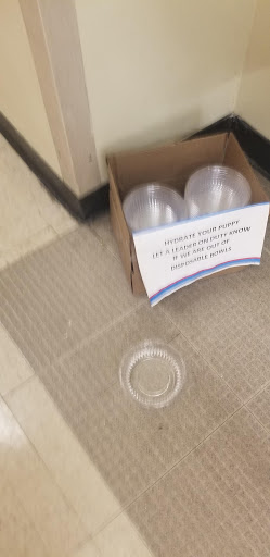 Pet Supply Store «Petco Animal Supplies», reviews and photos, 12163 Sheridan Blvd, Broomfield, CO 80020, USA