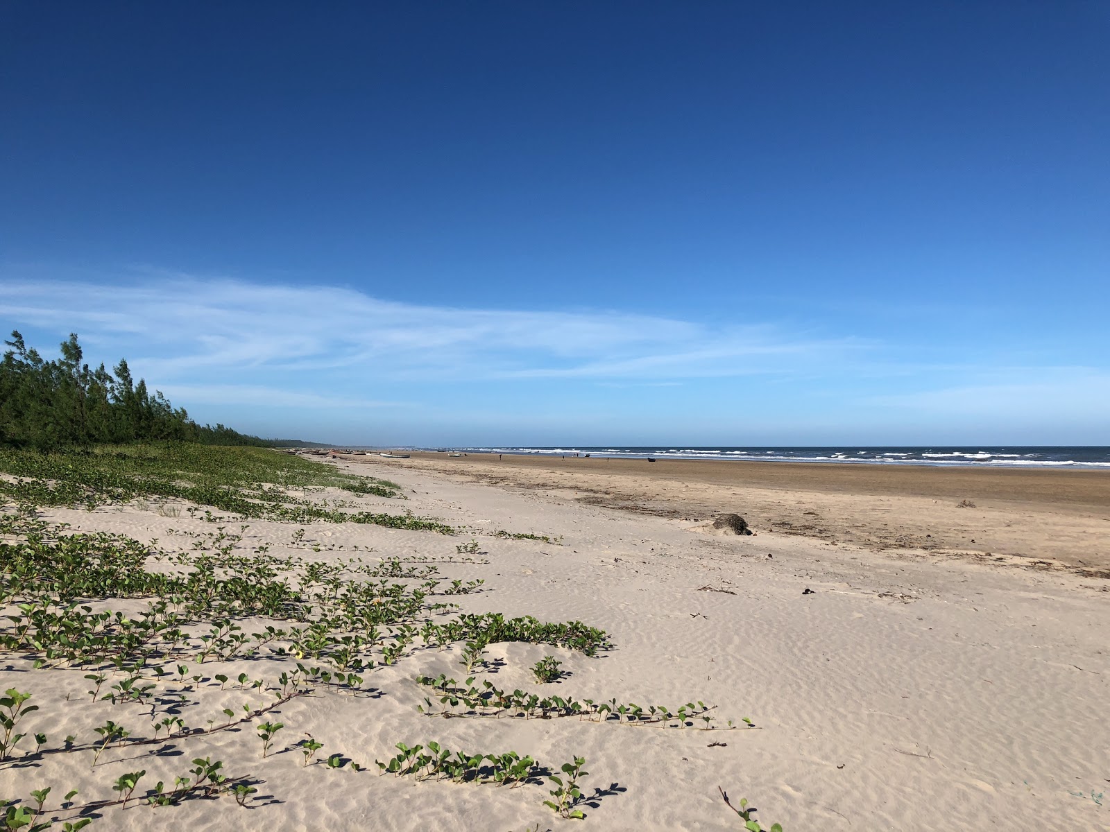 Photo de Zalala Beach - endroit populaire parmi les connaisseurs de la détente