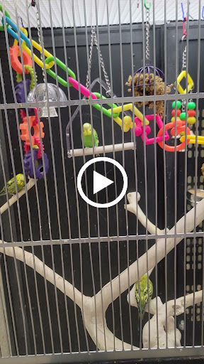 Pet Supply Store «Petco Animal Supplies», reviews and photos, 475 S Wadsworth Blvd, Lakewood, CO 80226, USA
