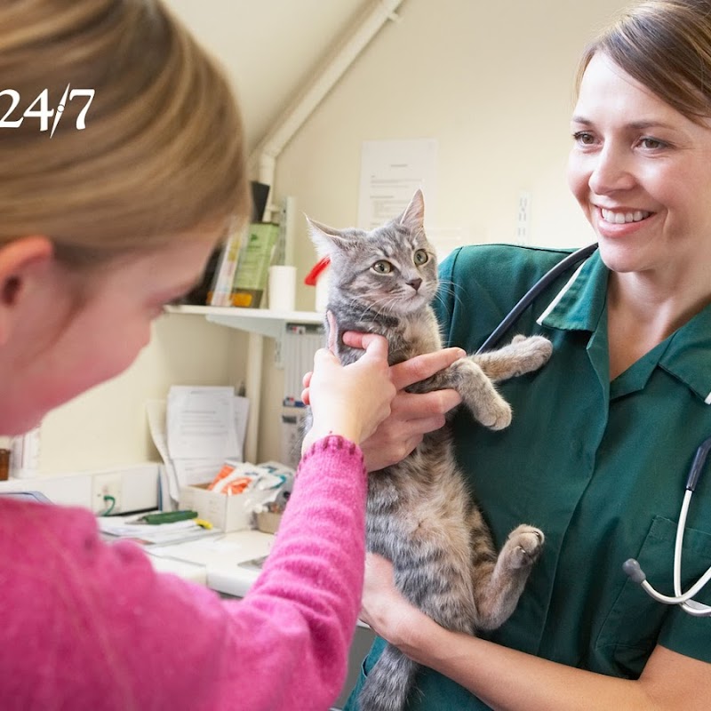 Oakfield Veterinary Group