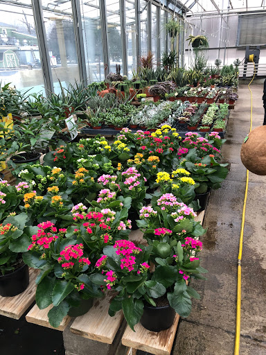 Florist «The Garden», reviews and photos, 155 Main St N, Woodbury, CT 06798, USA