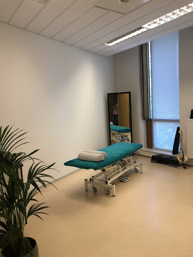 Osteopathie overgaag